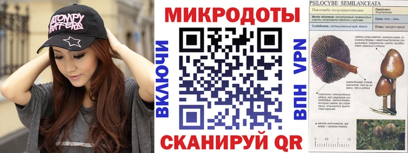 Галлюциногенные грибы Psilocybe  площадка клад  omg сайт  Тамбов  наркота 